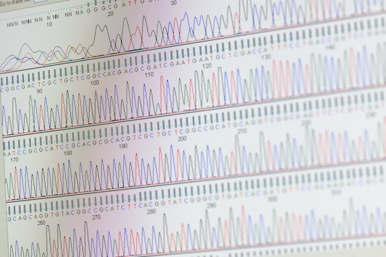 Genomic sequencing reveals previously unknown genes that make microbes resistant to drugs and hard to kill ​​Science + Tech – The Conversation