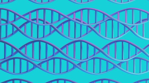Researchers uncovered hundreds of genes linked to OCD, providing clues about how it changes the brain − new research ​​Science + Tech – The Conversation