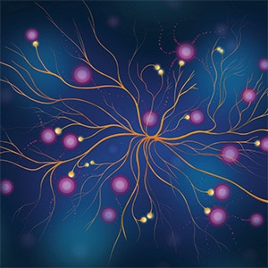 Editors’ Picks, June 2026: Preventing Colorectal Cancer, Targeting Neural Cross-talk to Stop Glioblastoma Recurrence, and More ​​American Association for Cancer Research (AACR)