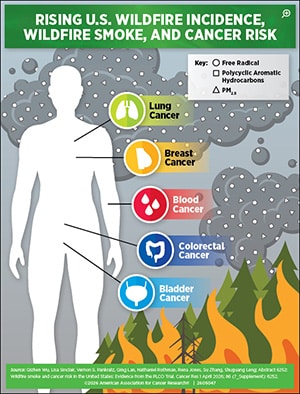 Catching the Drift: How Wildfire Smoke Plumes May Increase Cancer Risk ​​American Association for Cancer Research (AACR)